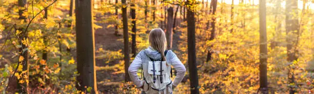 Traveler looking to beautiful forest