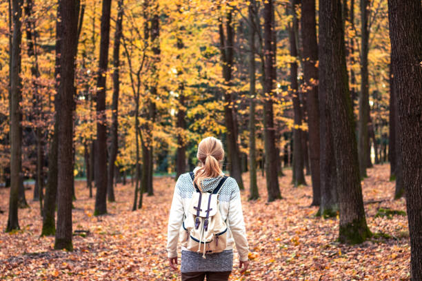donna con zaino che cammina nella foresta in autunno. - on top of activity adult adventure foto e immagini stock