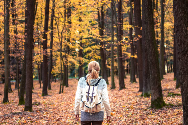 Woman with backpack walking in forest at autumn. Traveler hiking in nature. walking loneliness one person journey stock pictures, royalty-free photos & images