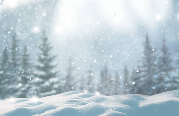 メリー クリスマスと新年あけましておめでとうございますコピー領域と背景の挨拶します。雪の美しい冬の風景には、木が覆われています。 - 冬 ストックフォトと画像