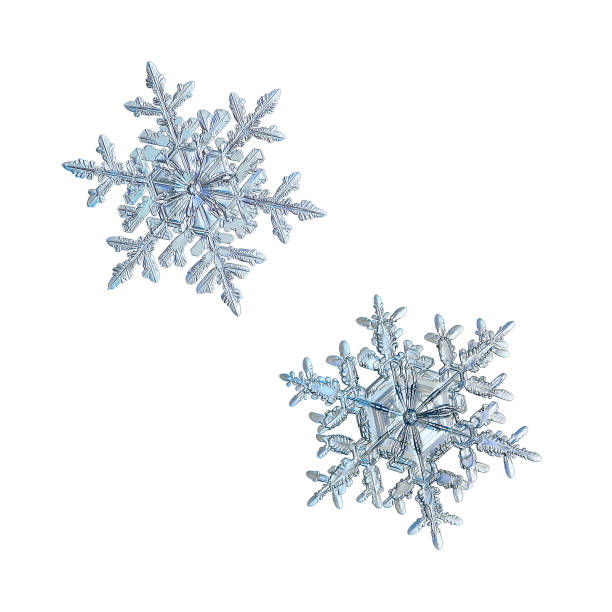istock Two snowflakes isolated on white background 1068515820