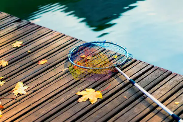 Photo of Fish landing net for fish, fishing tackle on a wooden bridge with fallen autumn yellow maple leaves. Minimalistic autumn background