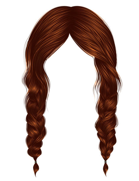 trendy women hairs Red colour .two plaits .  fashion beauty style . trendy women hairs Red colour .two plaits . 
 fashion beauty style . Pigtails stock illustrations