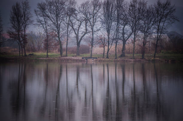 Mountain lake in winter