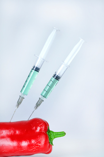 Scientist injecting liquid from syringe into Red Pepper. Genetically modified organism - apple and laboratory glassware.