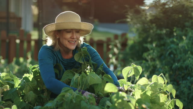 An Attractive Caucasian Woman in Her Fifties Tends to Her Garden Beside Her House on a Bright, Sunny Day