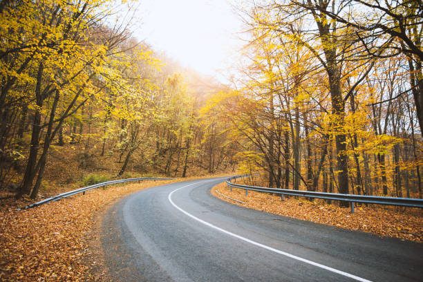 istock Road curve across autumn forest 1068548320