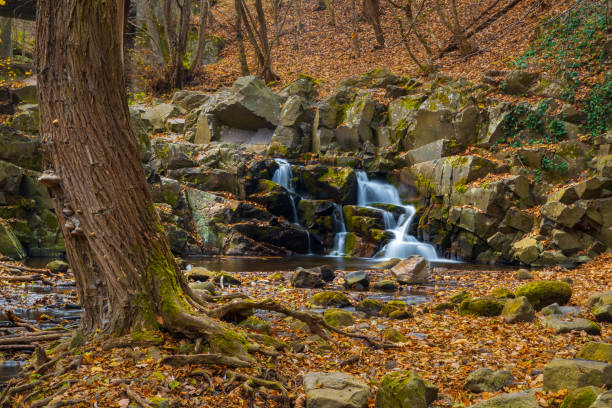 istock Flowing stream and waterfall in autumn forest 1068552304