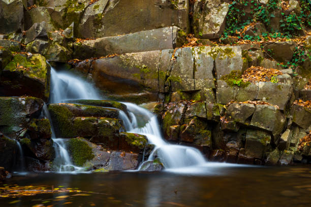 istock Flowing stream and waterfall in autumn forest 1068554588
