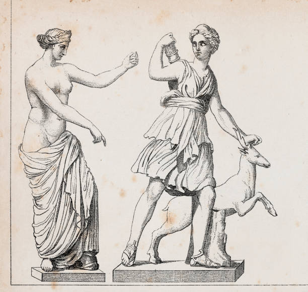 ilustrações de stock, clip art, desenhos animados e ícones de roman goddess venus of capua or aphrodite and diana the huntress - ancient rome illustration and painting engraving engraved image