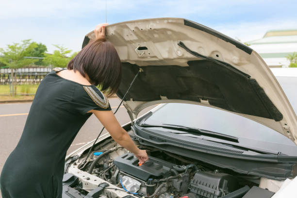 istock Rear View Of Woman Checking Car Engine On Road 1068560568