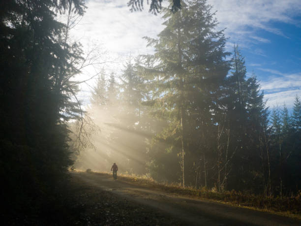 istock Morning mountain bike ride 1068572546