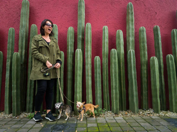 istock Mexico city lifestyle 1068580146