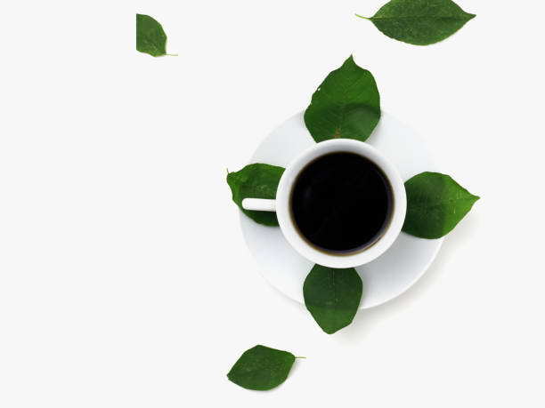 istock Coffee cup with leaves. Flat lay. Nature concept. 1068585018