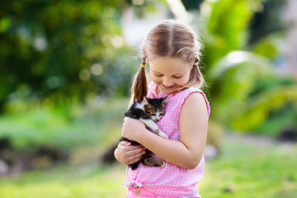 niña con bebé gato. los niños y las mascotas - domestic cat child little girls kitten fotografías e imágenes de stock