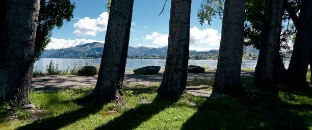 istock Beautiful nature at lake with tree, rocks, and blue sky 1068586872