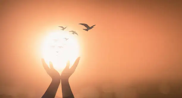 Silhouette prayer hand blessing God on blurred candle light with bird flying background