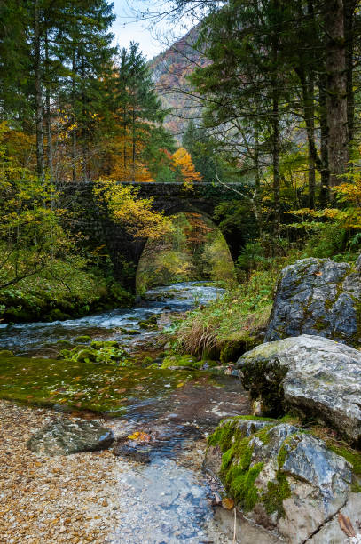 istock Clear mountain stream passing under a stony bridge in autumn landscape 1068590768