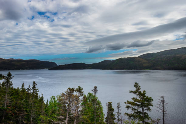 istock Cloudy lake in Gros Morne National Park 1068592480