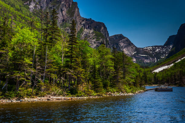 istock End of West pond, Gros Morne National Park 1068593686