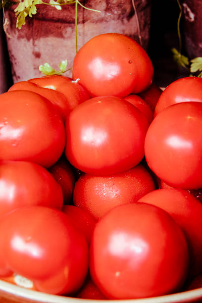 Bowl, Tomotoes, Fresh, Market, Australia
