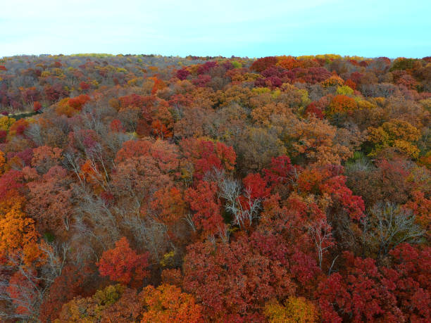 istock Missouri Autumn 1068595730