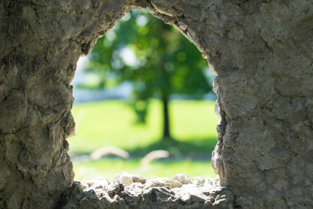 stone background with window and view of blurred green tree.