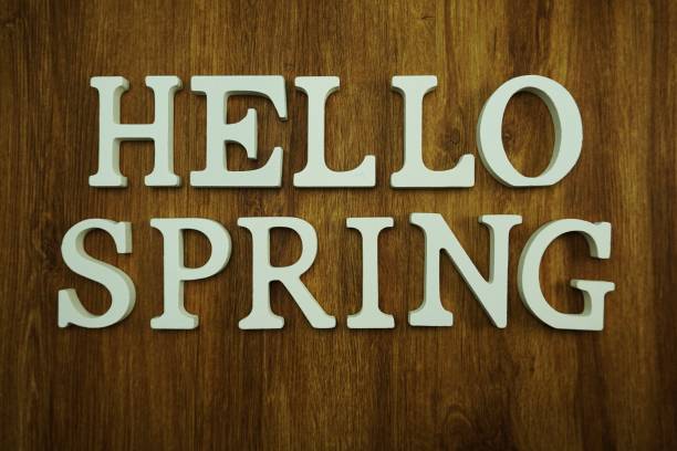 istock hello spring alphabet letter with tulip flower on wooden background 1068609706