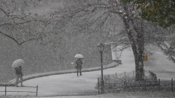 istock Snow in Central Park, New York 1068612960