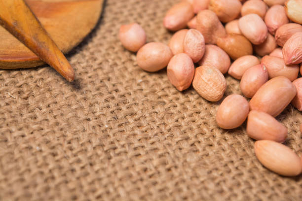 gruppo di aglio e grounnuts con alcuni oggetti di scena su tela da sacco per il cibo. - peanut bag nut sack foto e immagini stock