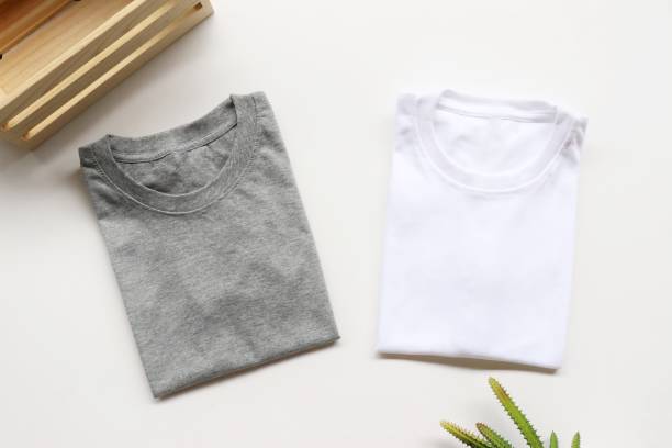 istock black , gray , white t-shirts with wood box and cactus. rustic background 1068631818