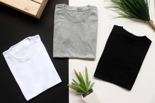 istock black , gray , white t-shirts with wood box and cactus. rustic background 1068631880