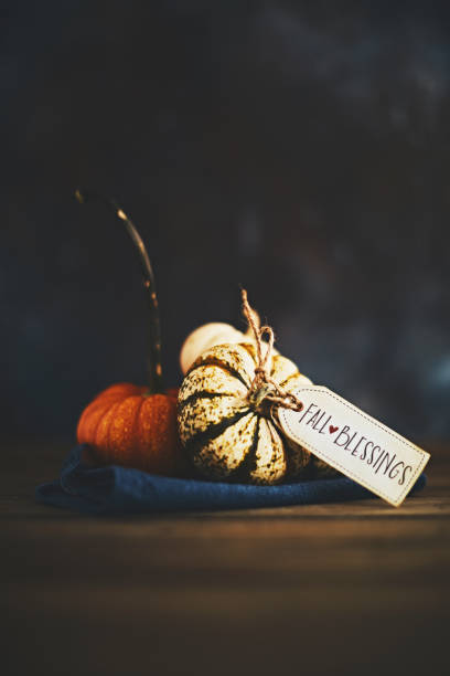 istock Pumpkin assortment still life and blessings greeting 1068633310