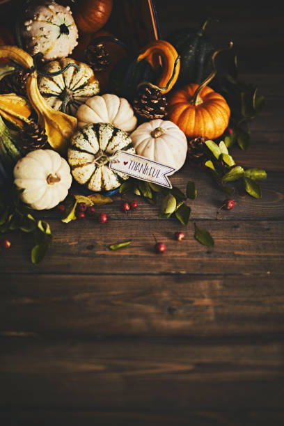 istock Pumpkin assortment still life and thankful message 1068633510