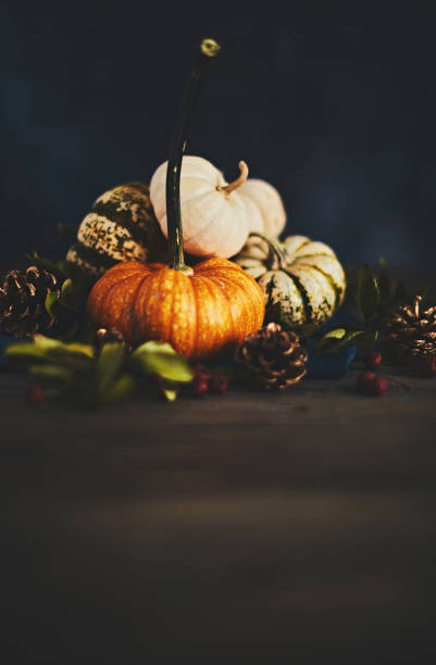 istock Pumpkin assortment still life for Thanksgiving 1068633526