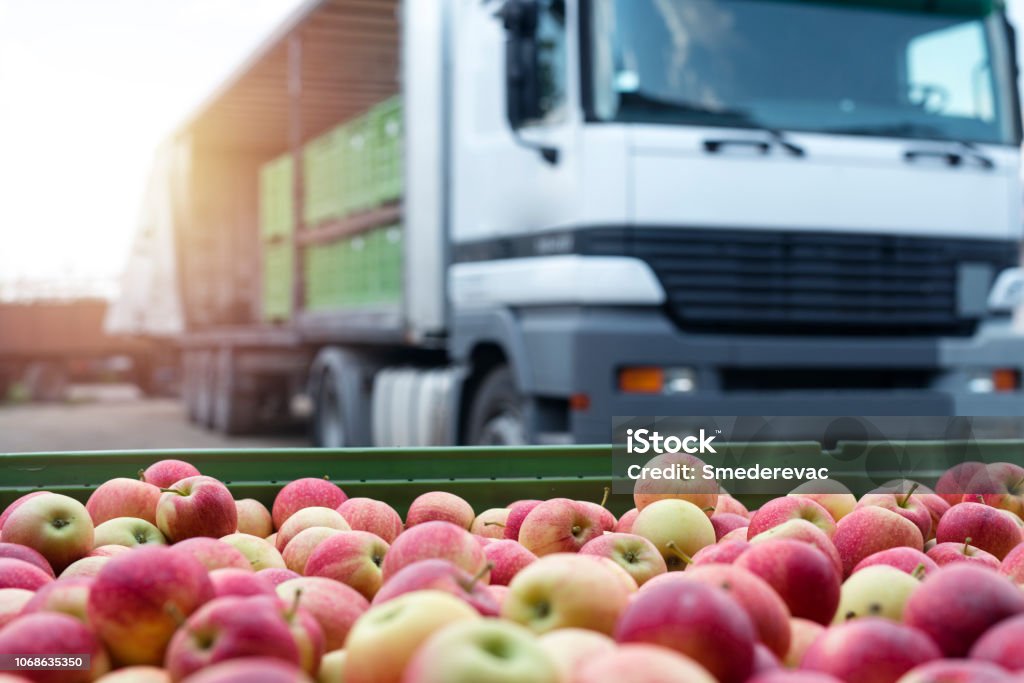 Fruit and food distribution. Truck loaded with containers full of apples ready to be shipped to the market. Apples container ready for shipping. Food Stock Photo