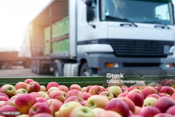 Fruit And Food Distribution Truck Loaded With Containers Full Of Apples Ready To Be Shipped To The Market Stock Photo - Download Image Now