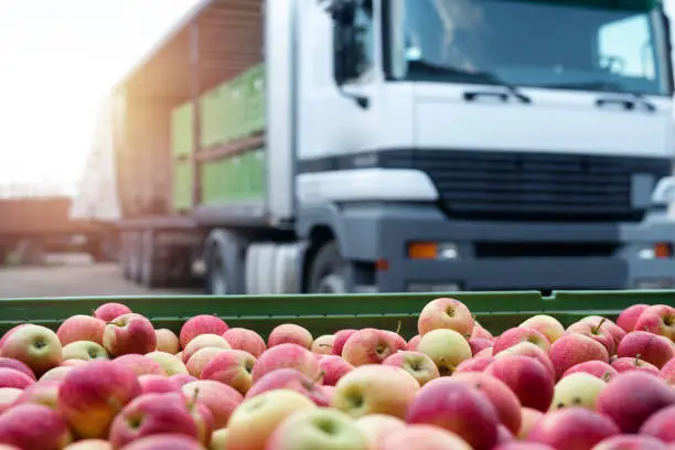 Photo of Fruit and food distribution. Truck loaded with containers full of apples ready to be shipped to the market.