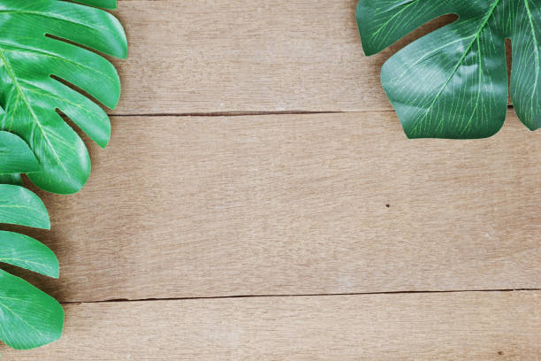 istock tropical leaves monstera and space copy on wooden background 1068641154
