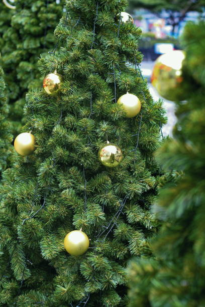 istock Christmas tree, fir tree ornaments decoration, Happy new year celebration. 1068648624