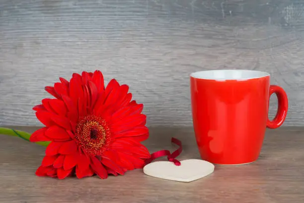 big red gerbera flower with heart shape and red coffee cup, good morning card