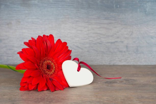 istock big red gerbera flower with heart shape, love card 1068650106