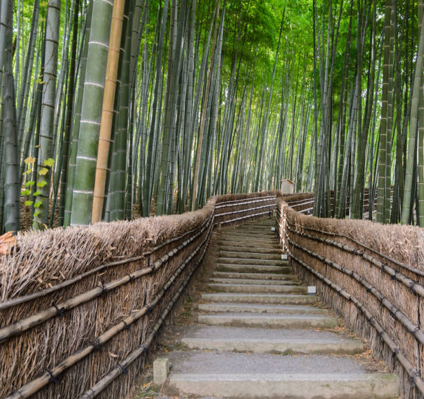 istock Bamboo forest in  Arashiyama, Kyoto, Japan 1068650118