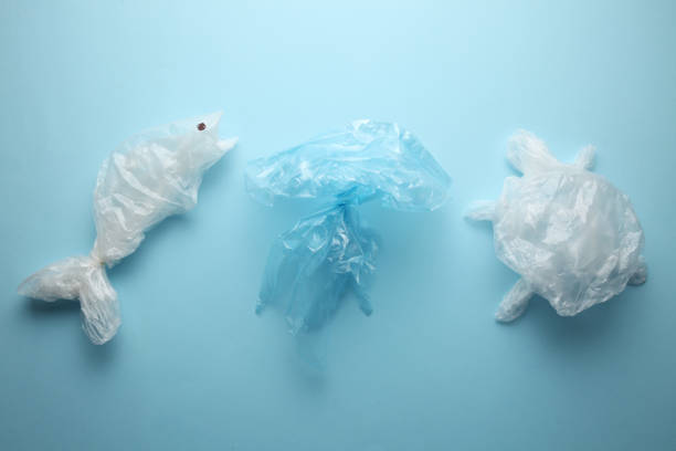 istock Plastic garbage in the world's oceans, pollution. Plastic fauna 1068651280