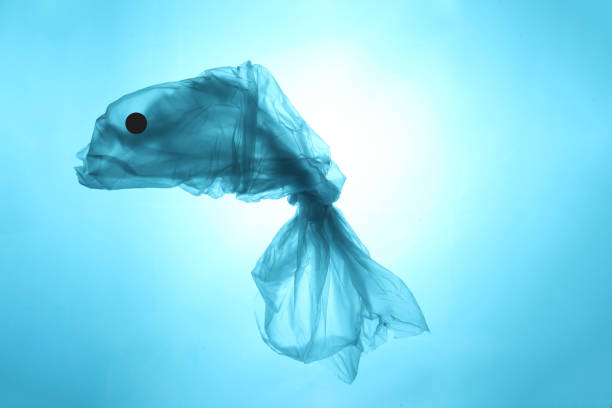 istock Concept ocean fish from a plastic bag. Total pollution of the ocean with garbage 1068653746
