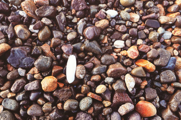 old, rusty, coin, pebbles, beach, sunshine, small, stones, wet, sea, euro, cent, penny 