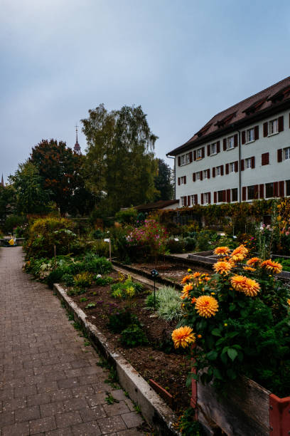 istock Flowers On Footpath By Building Against Sky 1068665304