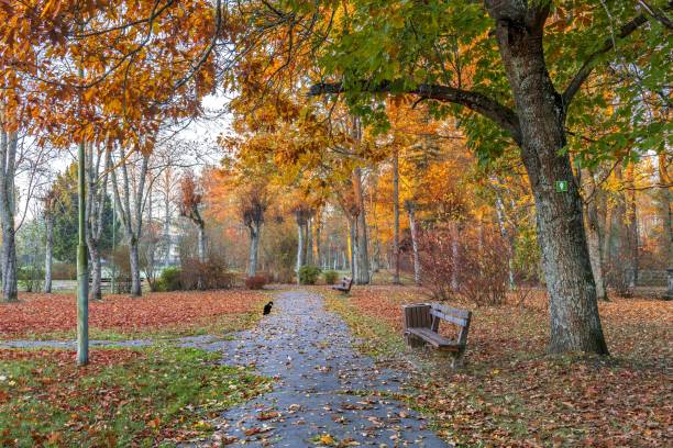 istock Autumn in old public park in Jurmala, Latvia, EC 1068666994