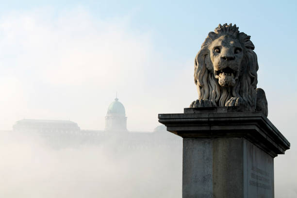 posąg lwa na moście łańcuchowym w budapeszcie z zamkiem ukrytym przez mgłę - budapest chain bridge hungary palace zdjęcia i obrazy z banku zdjęć