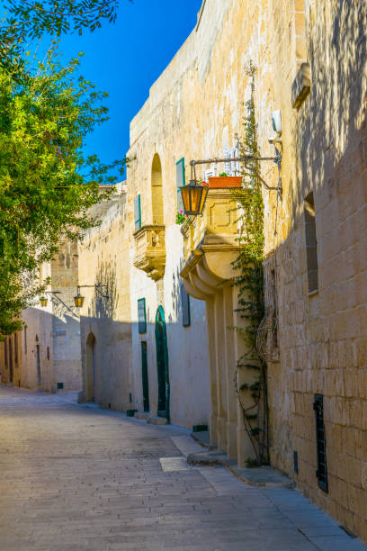 View of a narrow street in the old town of Mdina, Malta View of a narrow street in the old town of Mdina, Malta knights of malta stock pictures, royalty-free photos & images